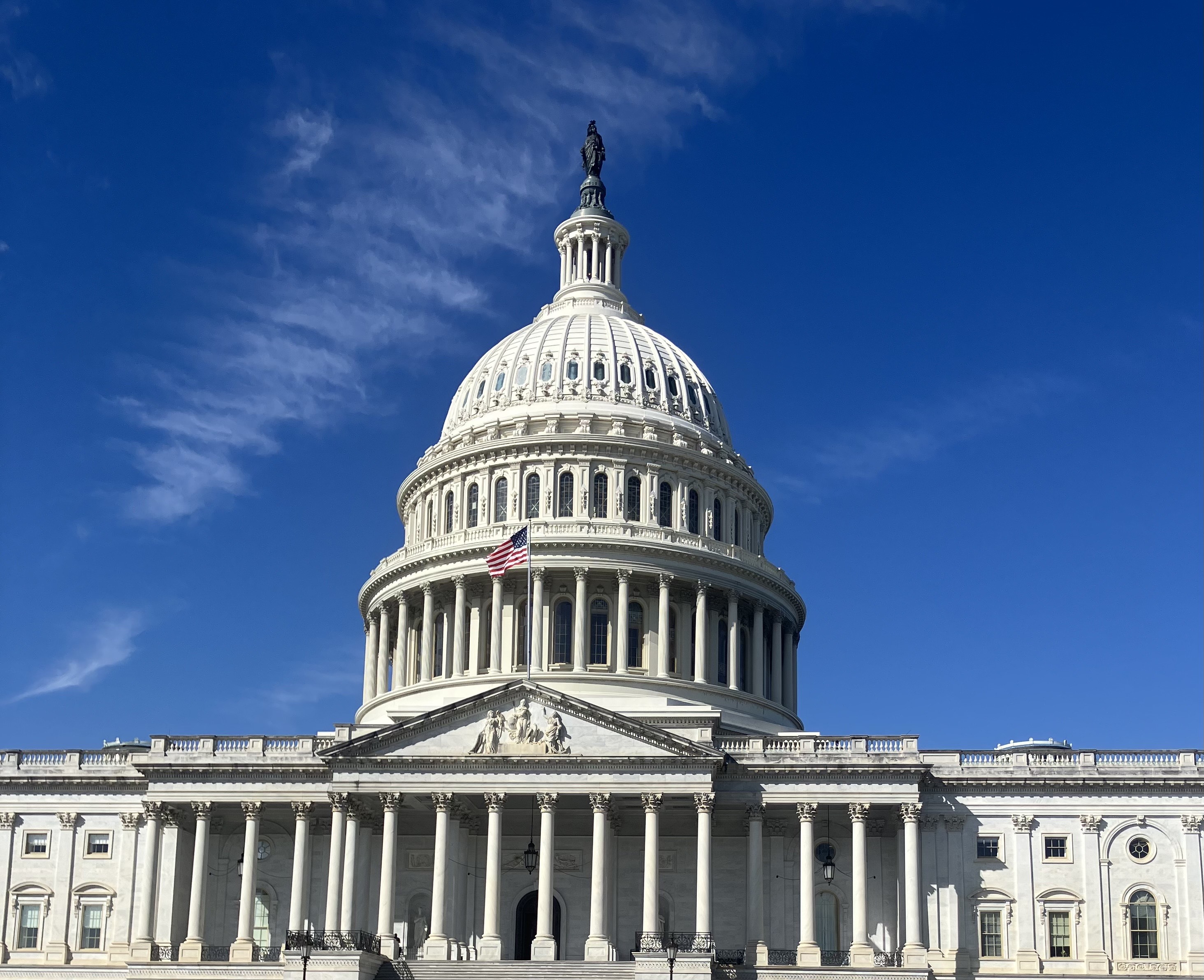 Democrats talk shutdown, lawsuits, & helping unemployed in Q&A.